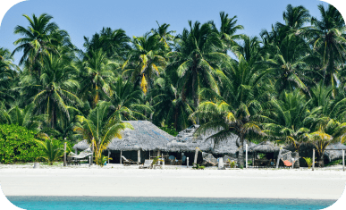 Tropical beach with palm trees and a thatched-roof hut on white sand.