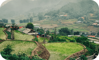 Scenic view of terraced rice fields in a lush green valley.