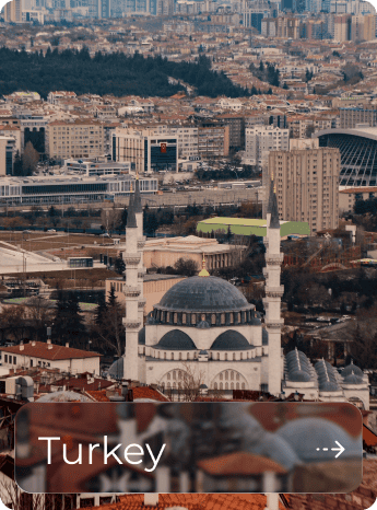 Aerial view of Istanbul with historic mosque and modern cityscape in Turkey.